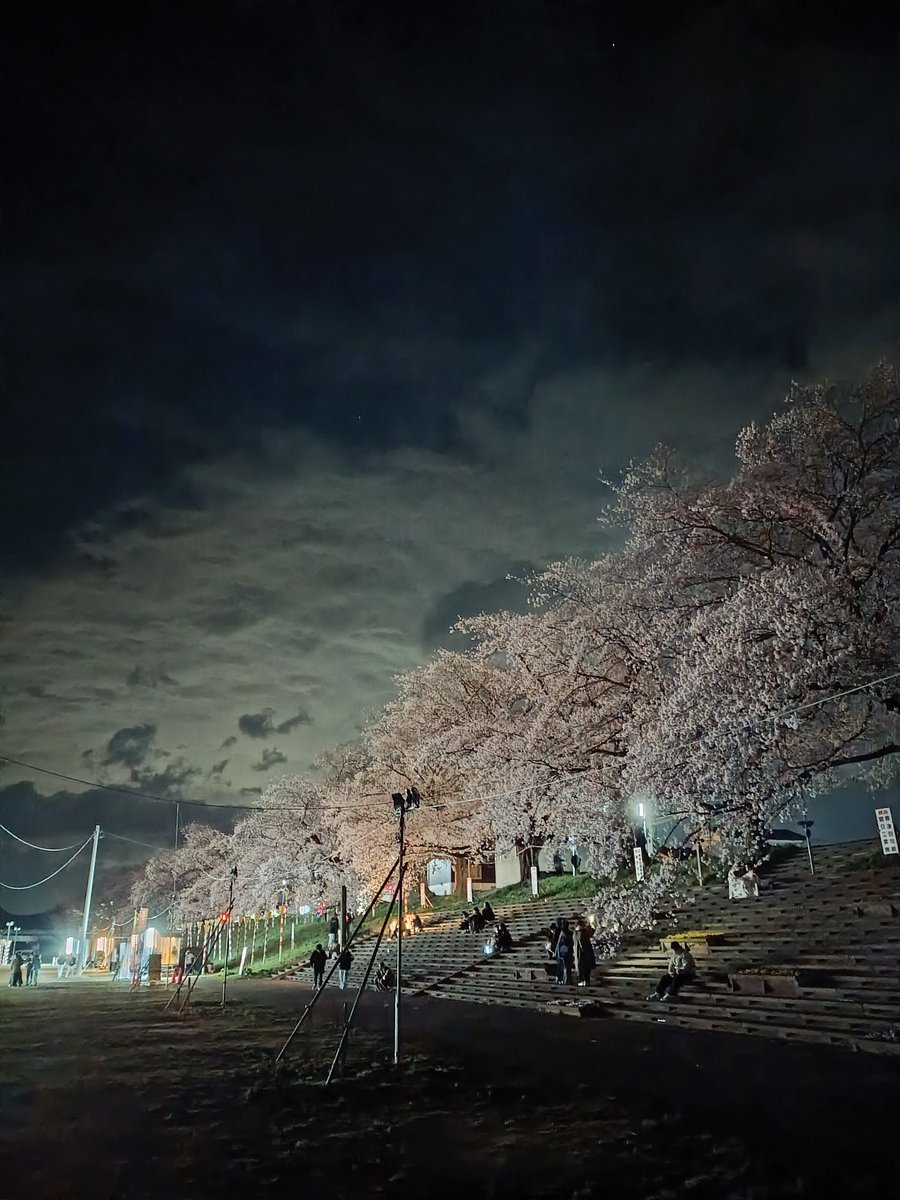 アライカオル tweet media