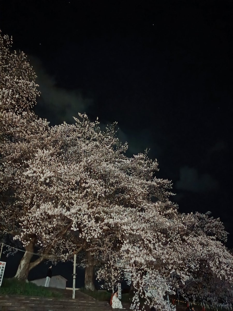 アライカオル tweet media