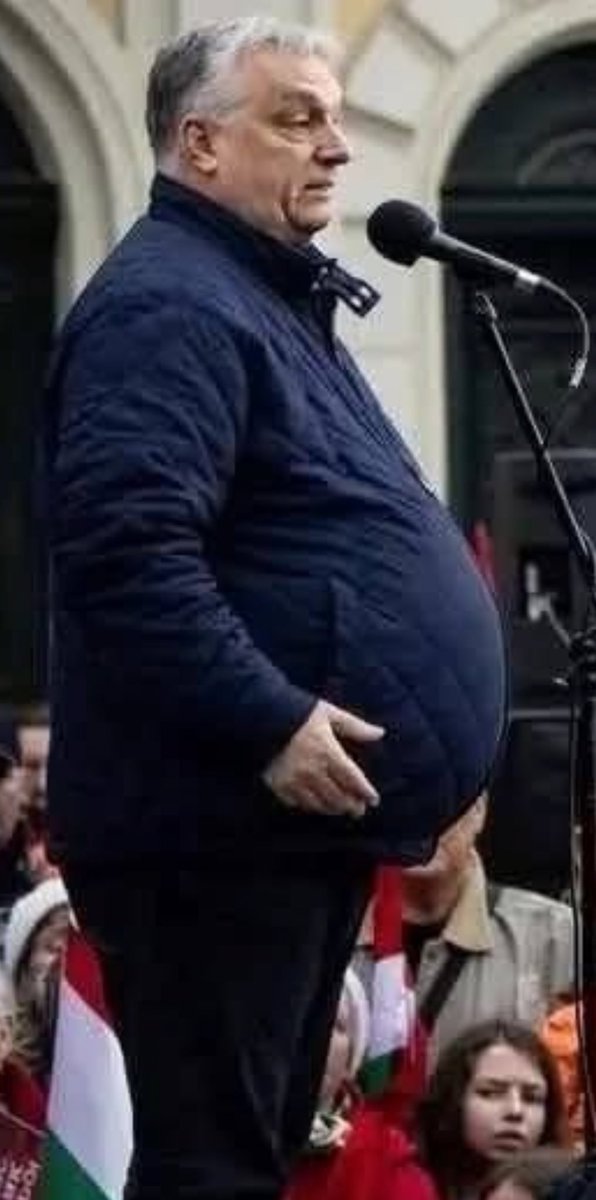 Veltsi the IX tweet media