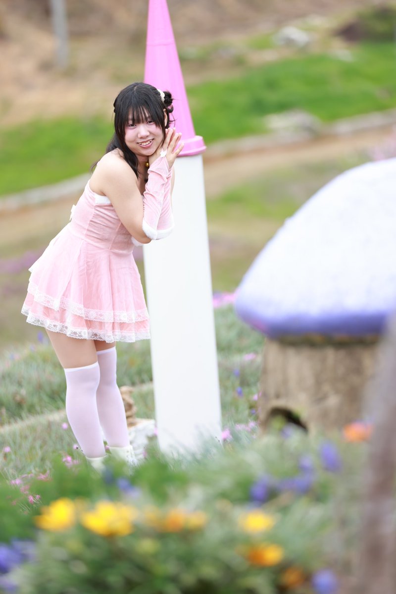 🐸すっとんだのぶ次郎🍀 tweet media