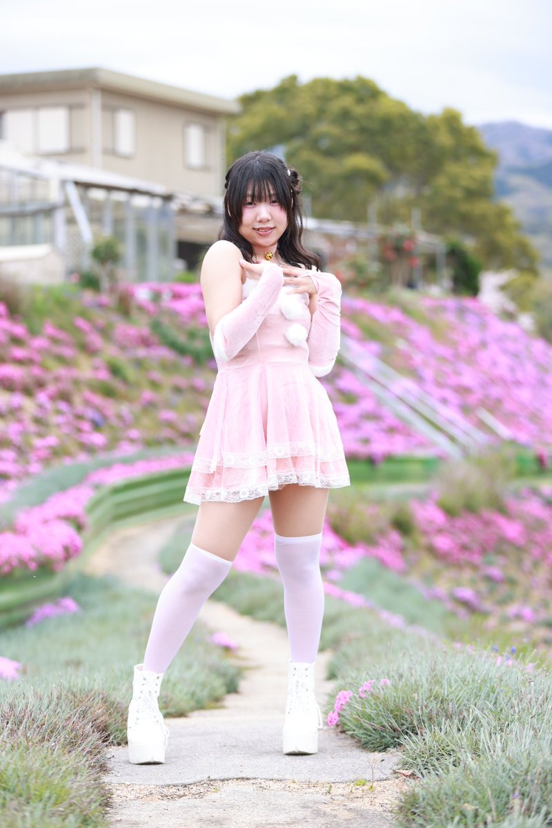 🐸すっとんだのぶ次郎🍀 tweet media