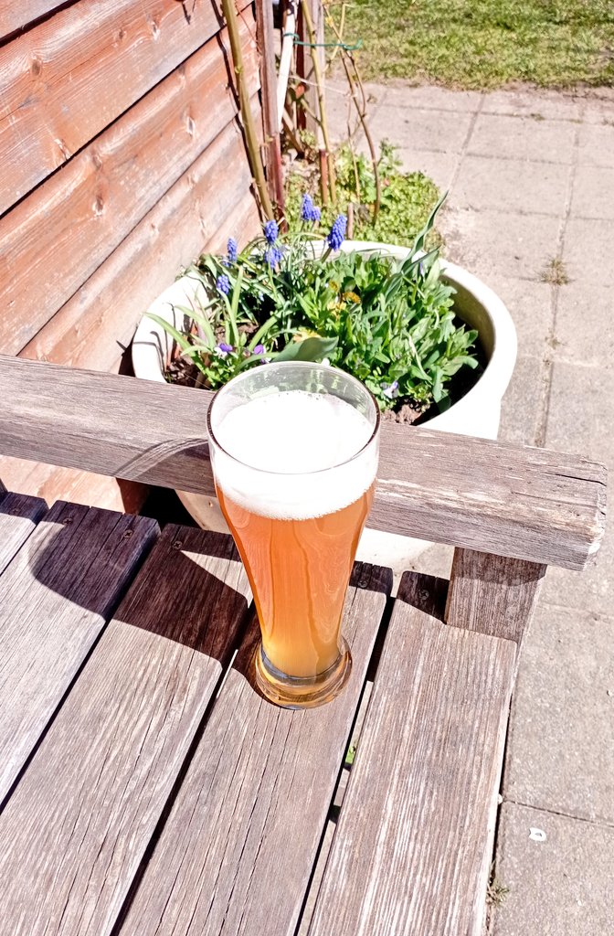 Liberty Hannes tweet media