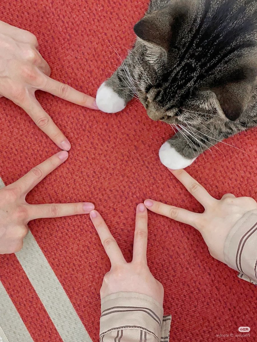 MeowPawRui tweet media