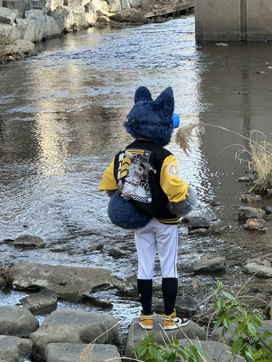 플러피🌕🐺 tweet media