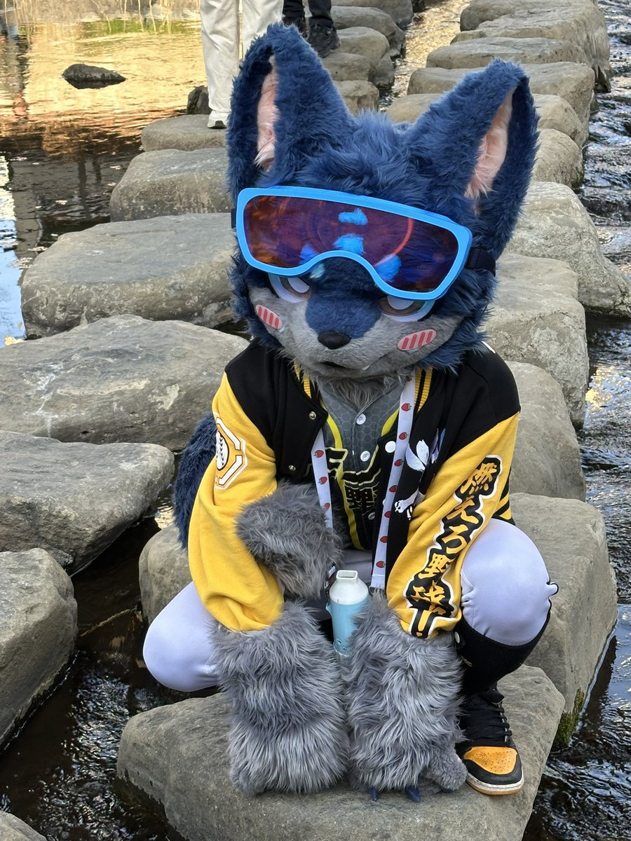 플러피🌕🐺 tweet media