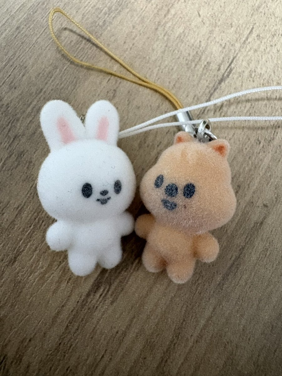 TomocA★🐖🐇🐰🐿️🐶 tweet media