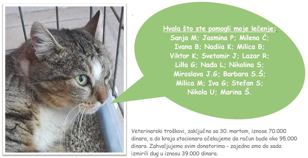 Viktor Kostić tweet media