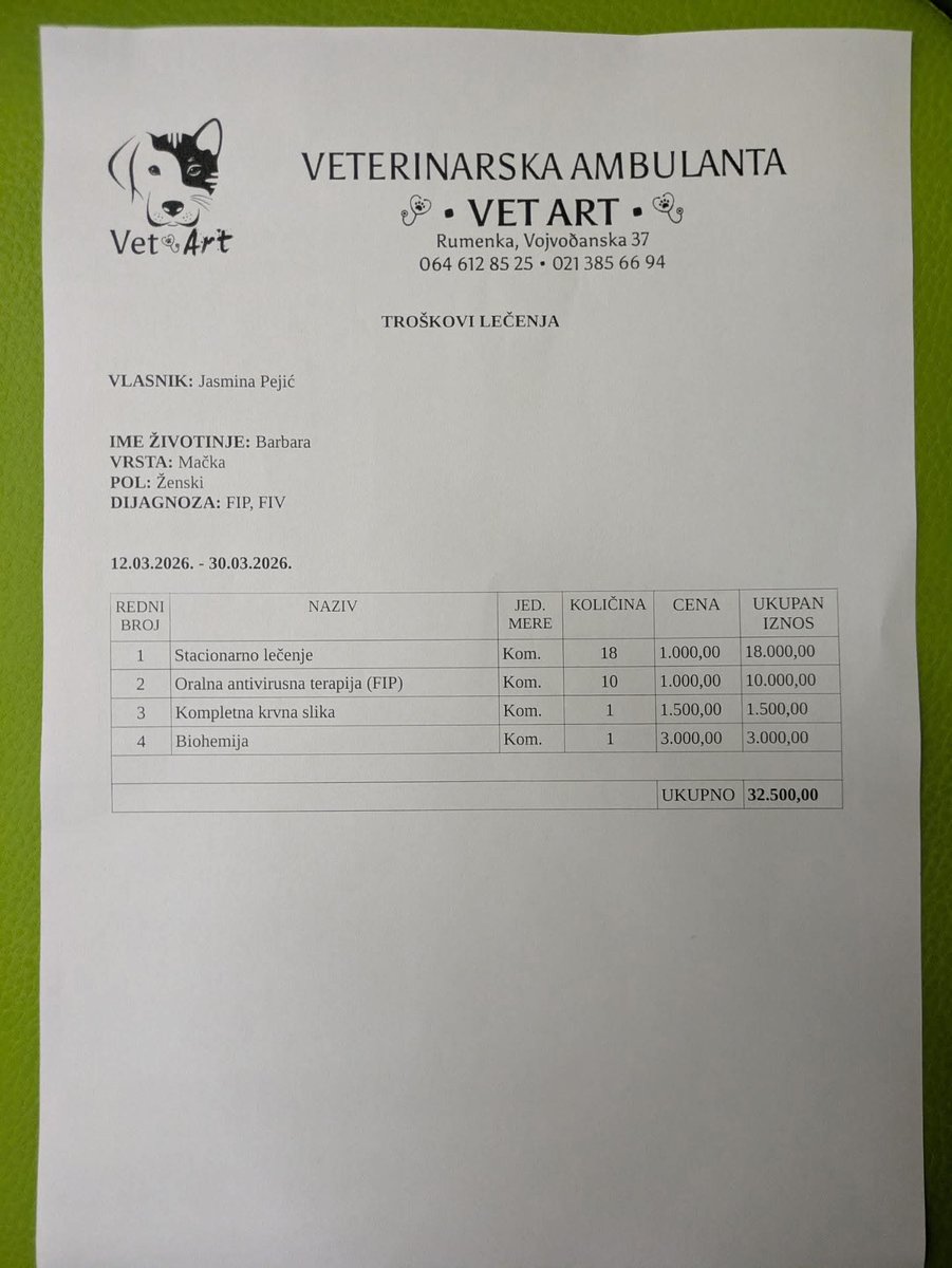 Viktor Kostić tweet media