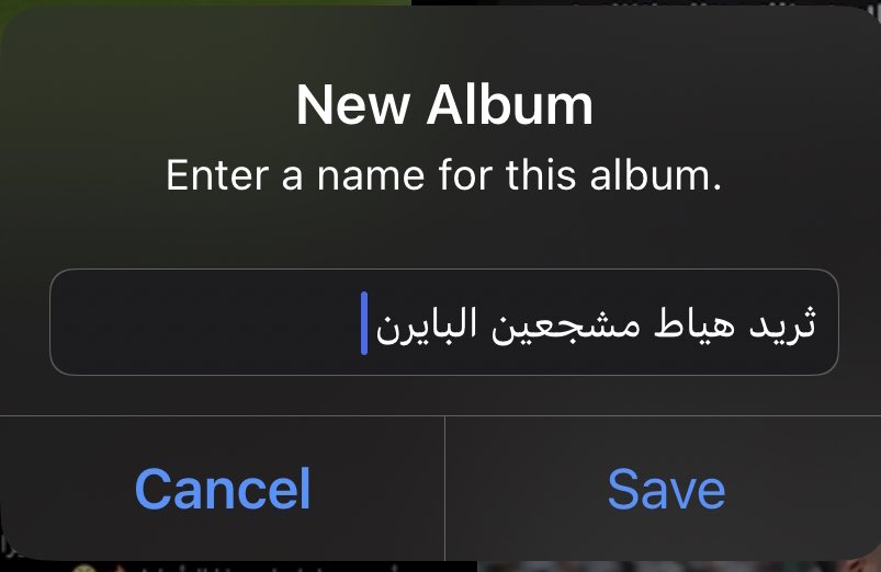 ابو اصىيل| الاحتياطي tweet media