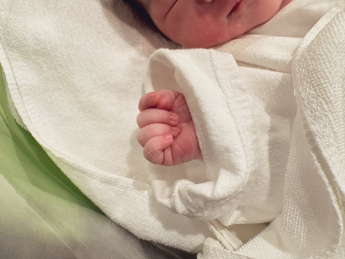 も　ね🐈 tweet media