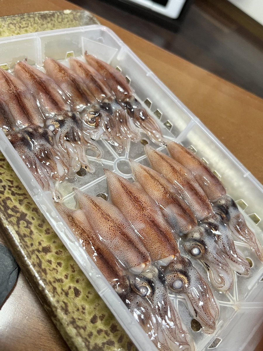 パパっちゴリラ tweet media