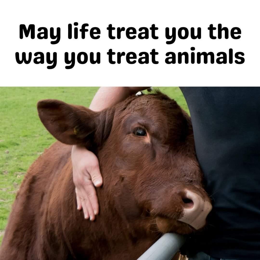 Patricia tweet media