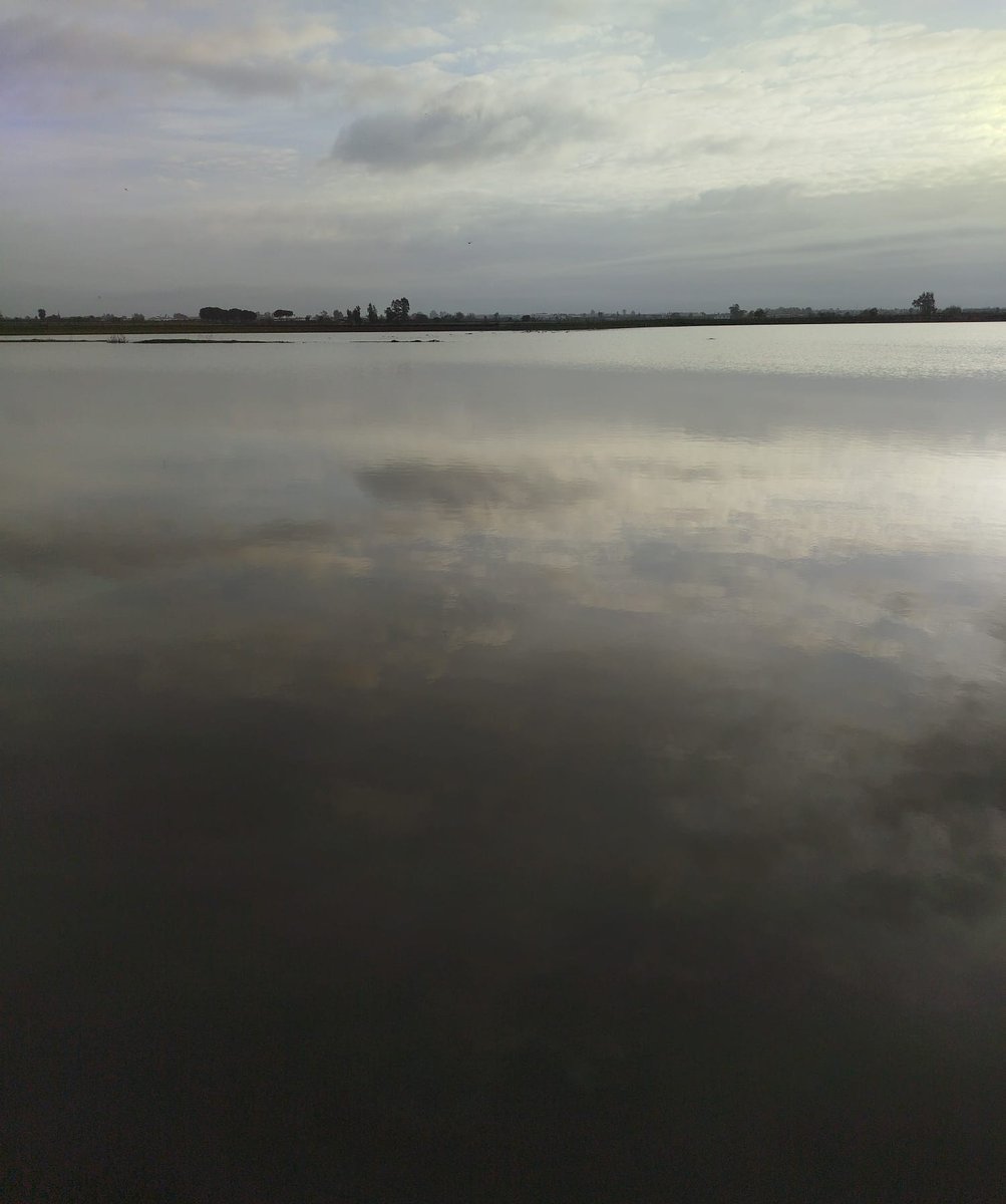 Union de Uniones tweet media