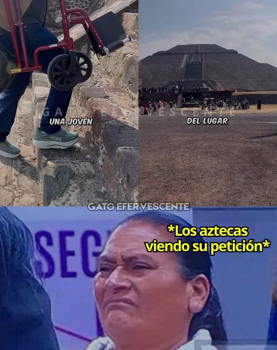 Alejandra tweet media