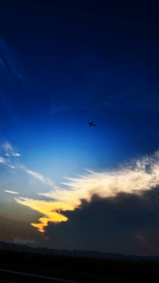 𝒩ℯ𝒽𝒶 tweet media