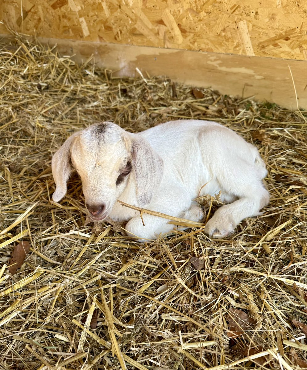 James May tweet media