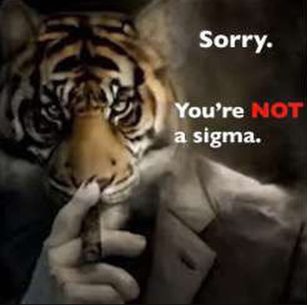 j’ai un nouveau collègue affreux et il s’est mis en tête jour 1 de prouver à toute la boîte qu’il etait le fan numéro 1 de koh lanta… tu ne seras jamais cooloeuvre prime 2024