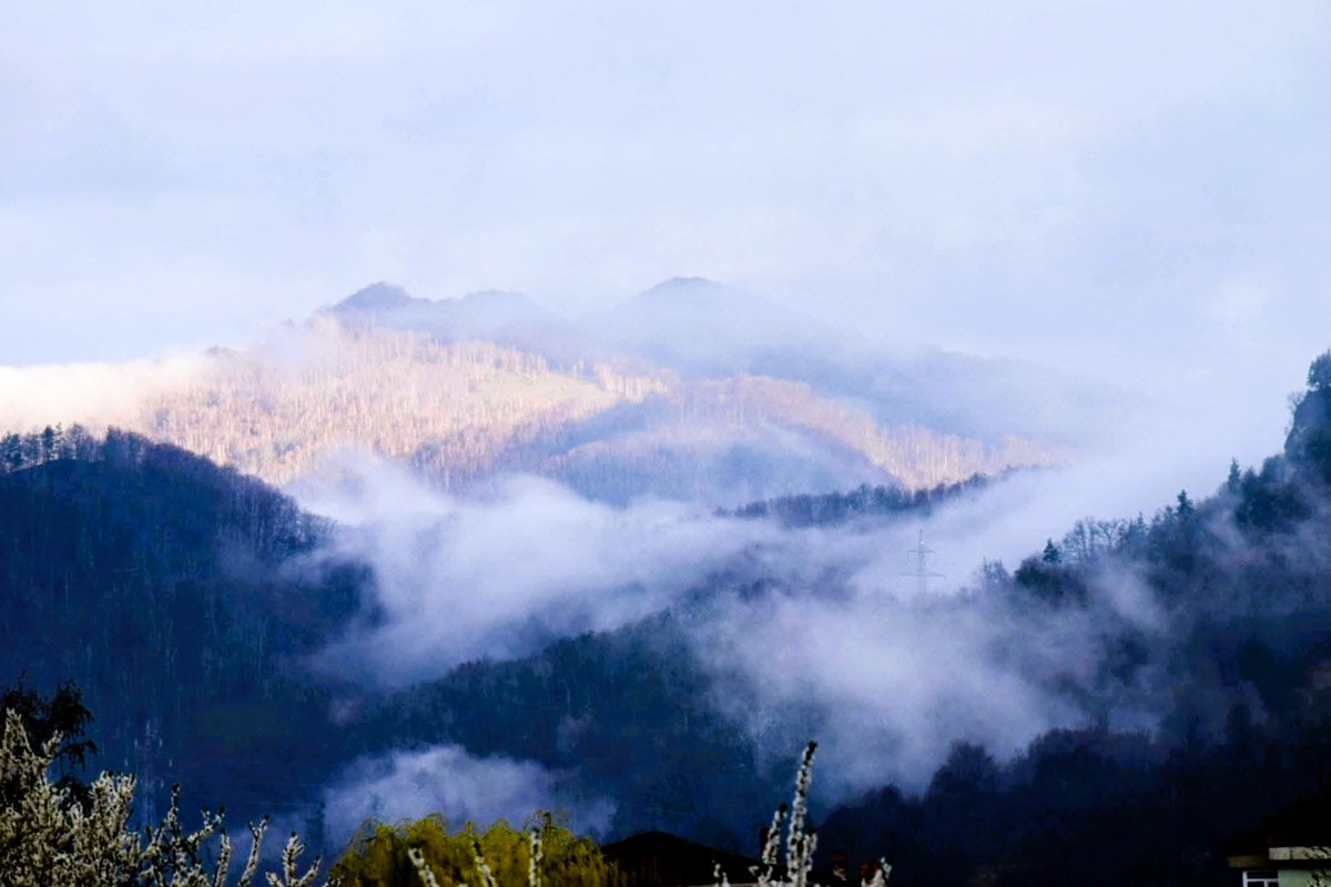 Regia Națională a Pădurilor - Romsilva tweet media