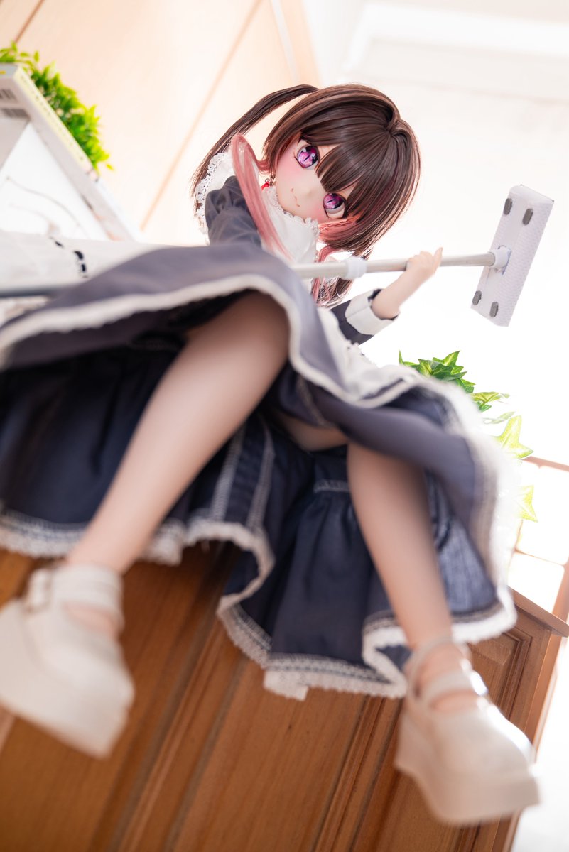 🍚しょー吉🍚 tweet media