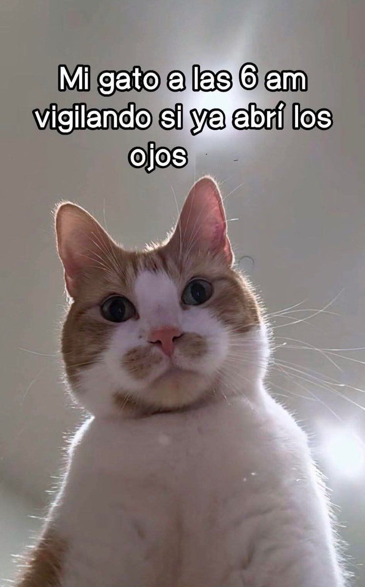 M O T I V A N D O T E (@m0tivand0te) on Twitter photo 