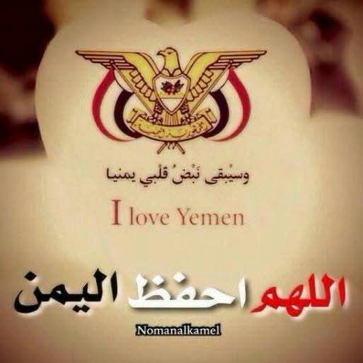 عبدالحميد الهمداني tweet media