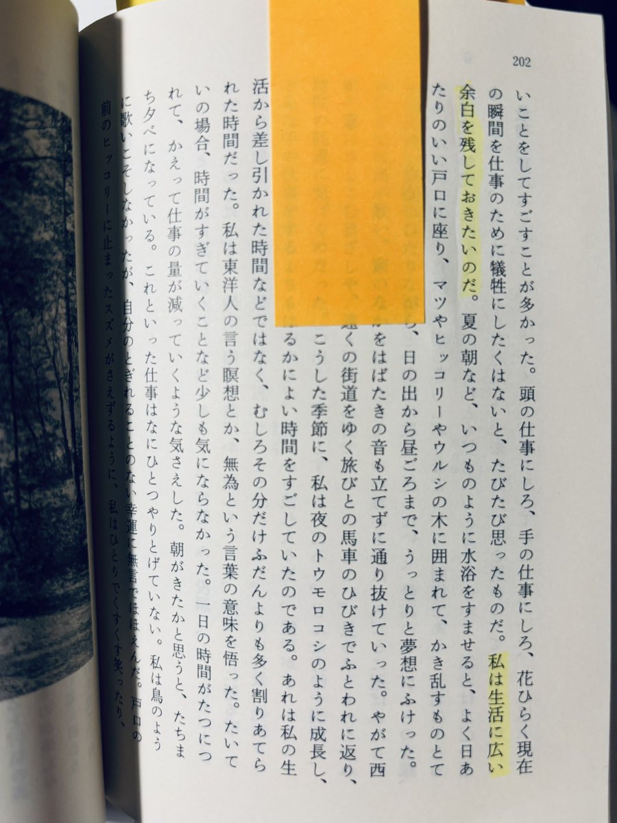 湯が沸いた tweet media