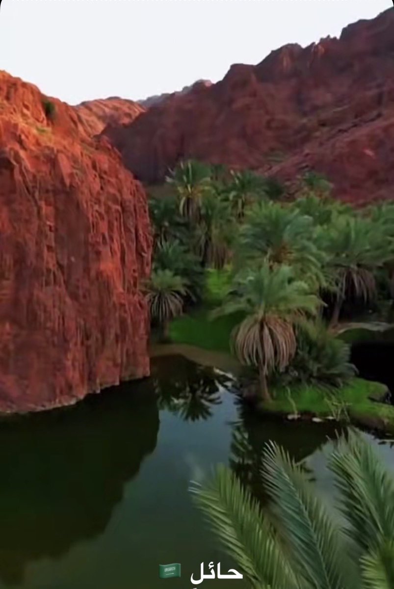 انسياب اللفظ tweet media