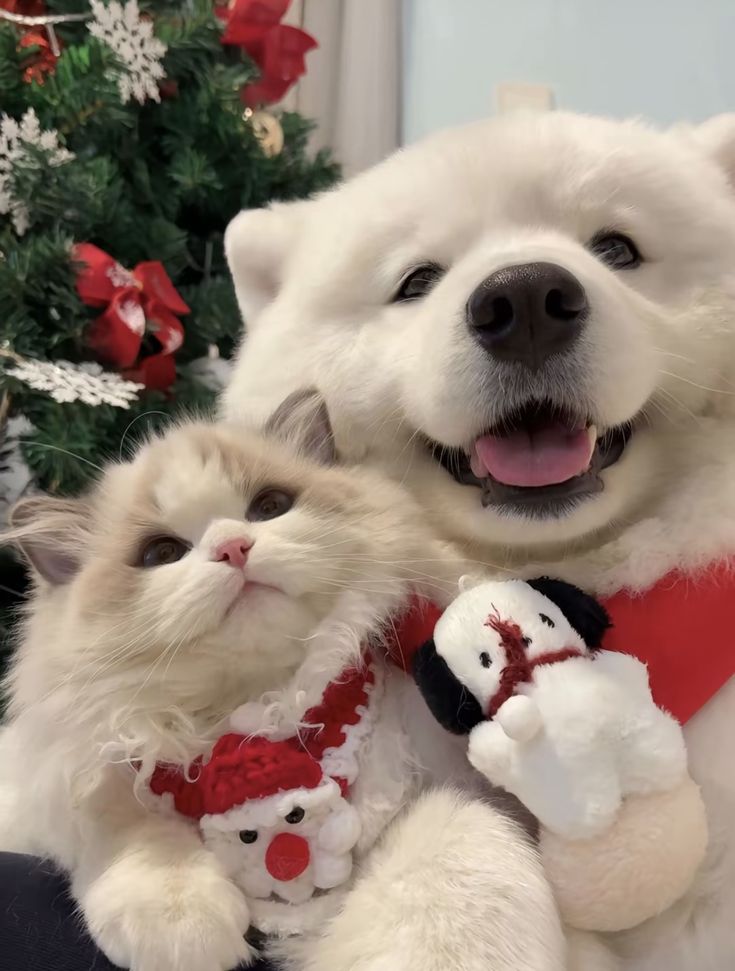 โซ ✿ tweet media