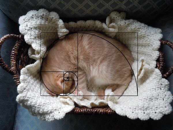 BANYU. tweet media
