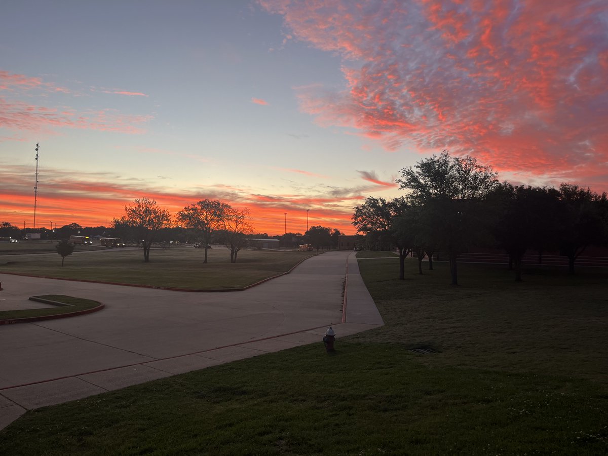 Laureen Thompson tweet media