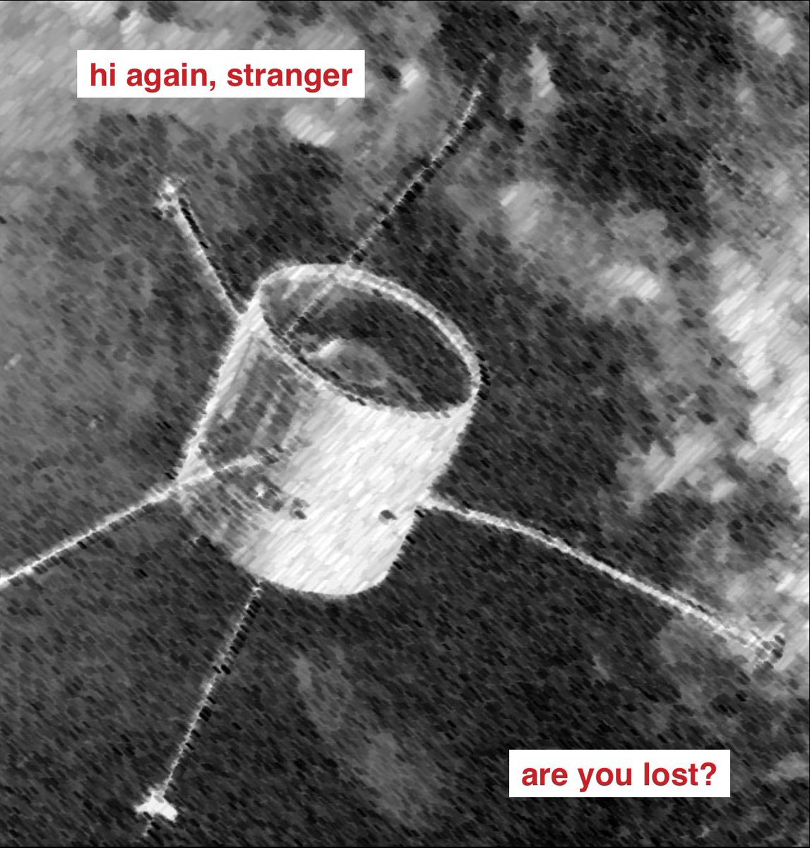 sydney 🏳️‍⚧️ tweet media