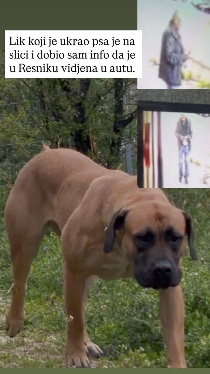 Mother of Dragons tweet media