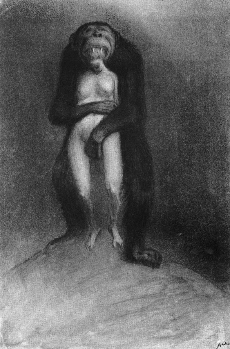 Johannes tweet media