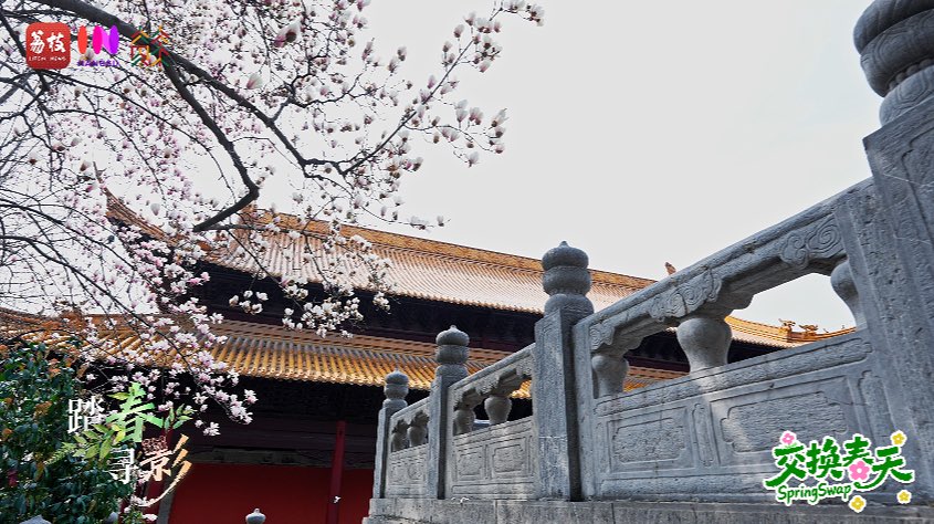 jiangsuandyou's tweet image. The charming spring in Chaotian Palace, Nanjing. #Spring #SpringVibe @DiscoverNanjing @VisitJiangsu