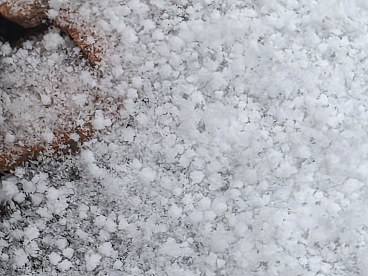 Kiloton Winier tweet media