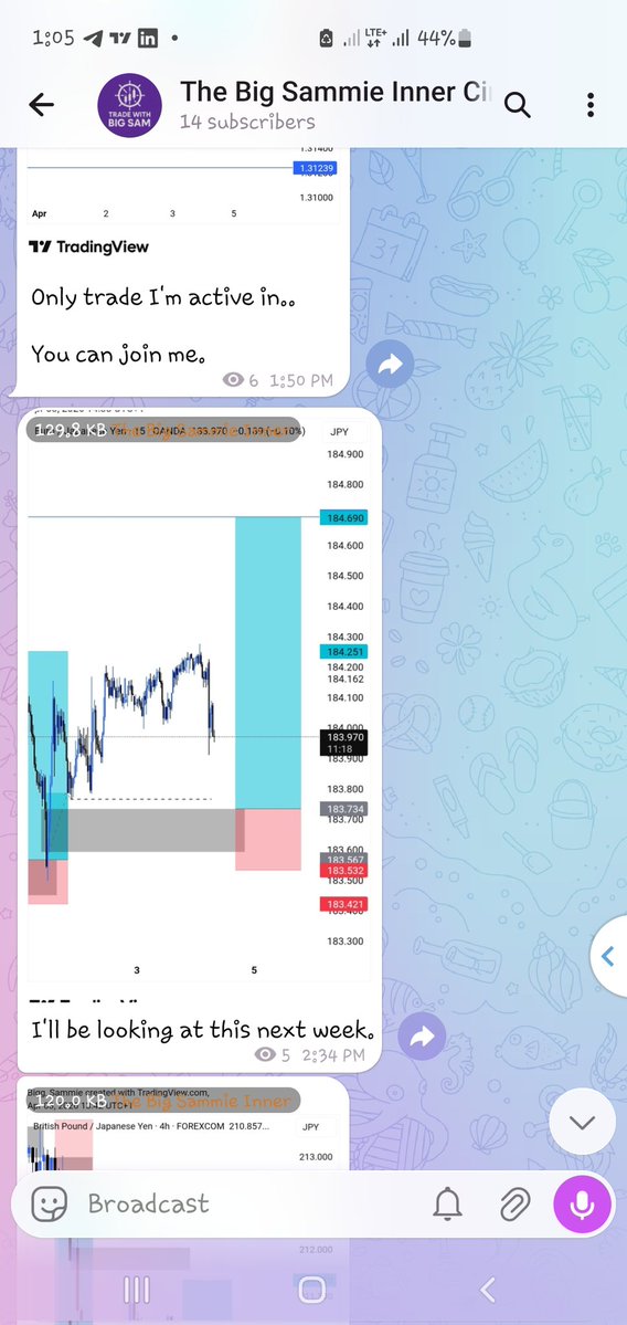 Big Sammie 💜 tweet media