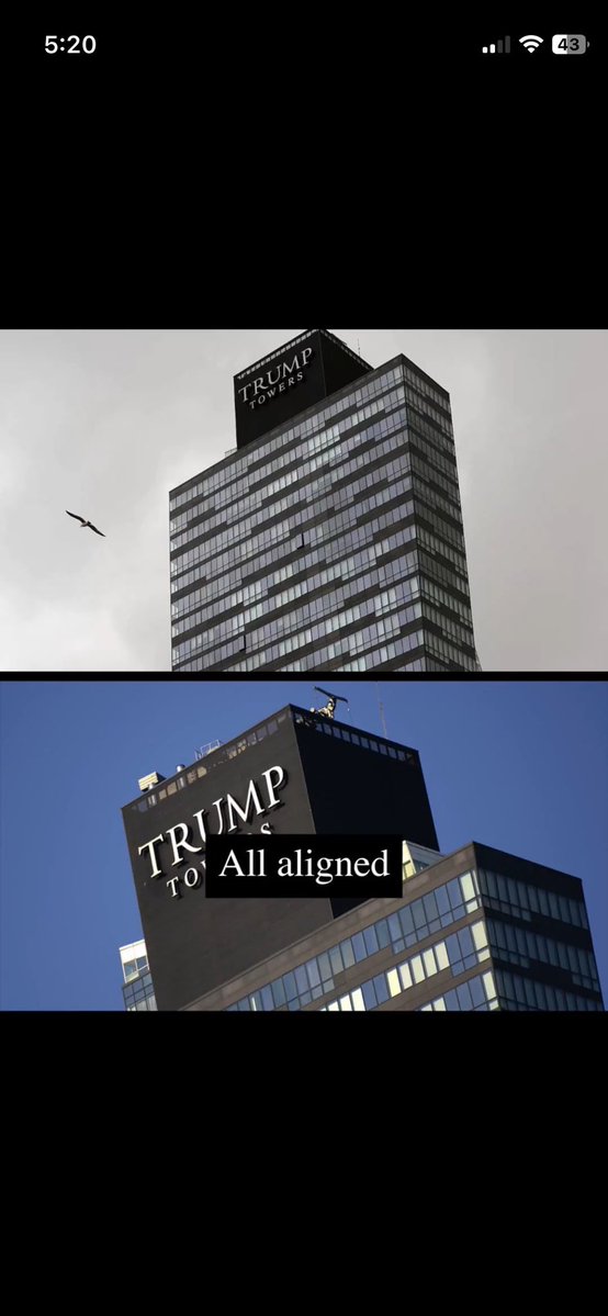 StarOfRemphan tweet media