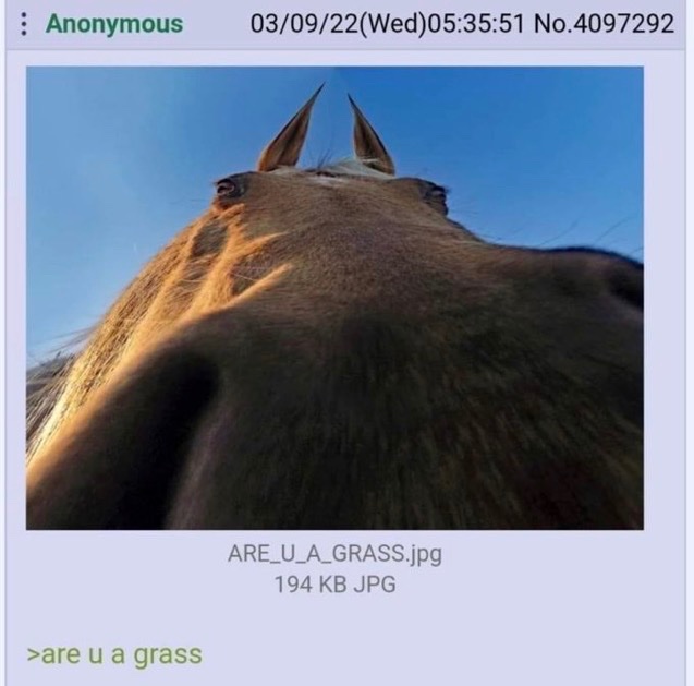 𝕵𝖆𝖉𝖊 ☧ ✠🌻 tweet media