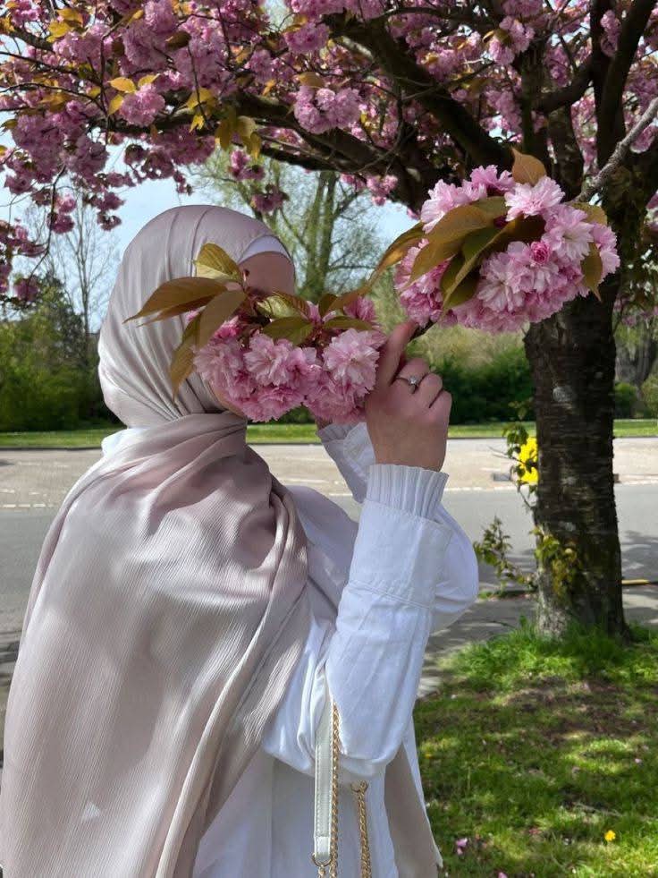 شمس بارودي tweet media