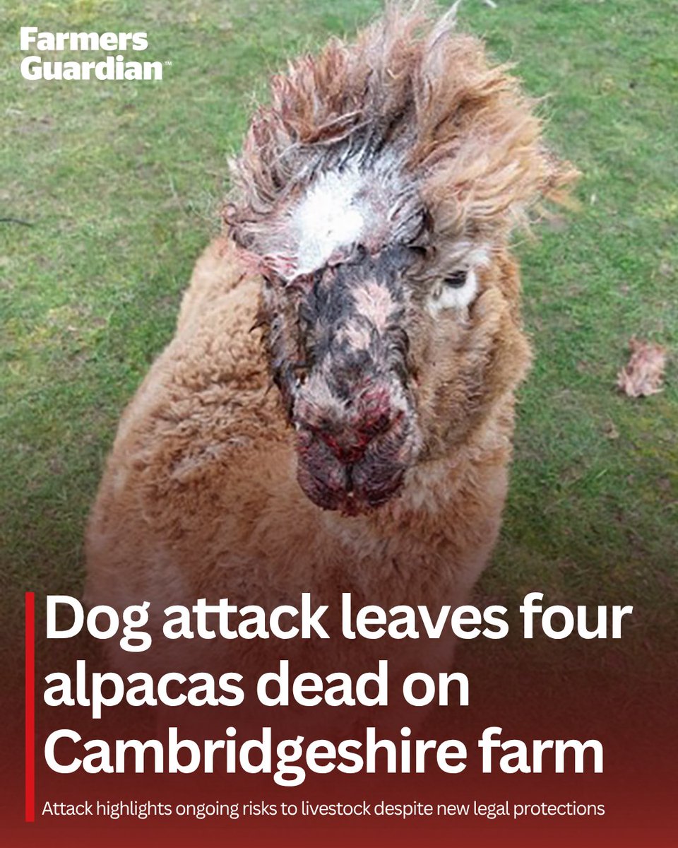 Farmers Guardian tweet media