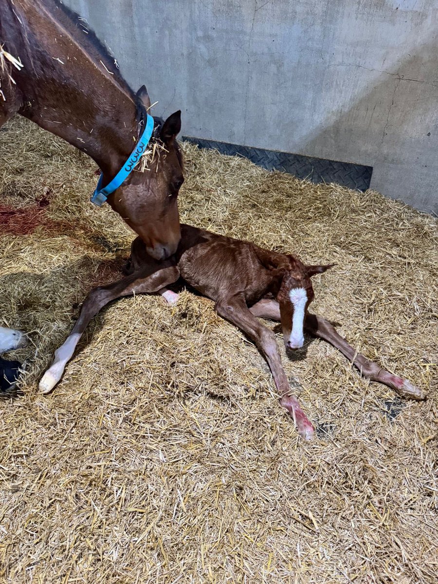 Rylee Magnon tweet media