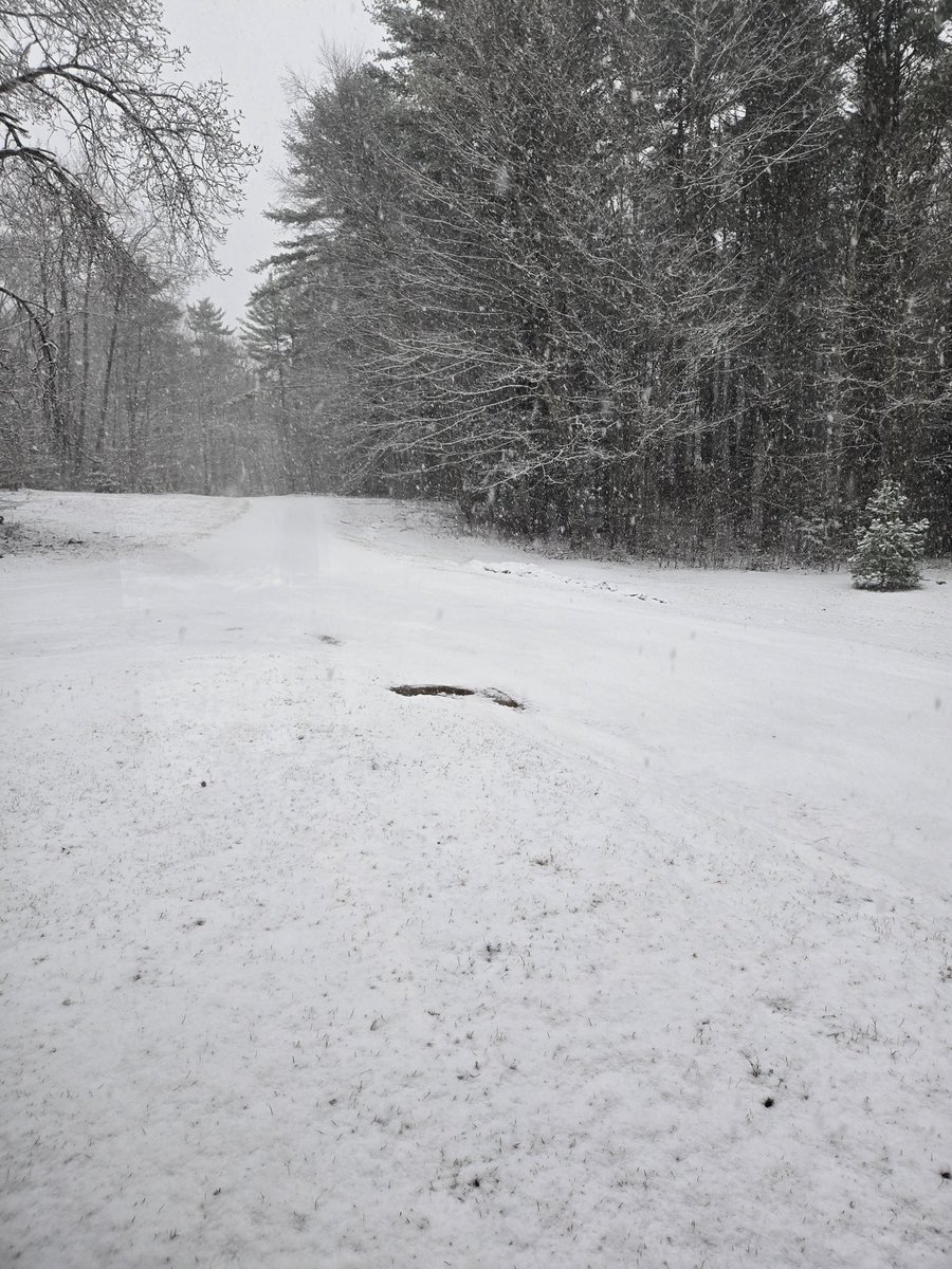 Ross Berry tweet media