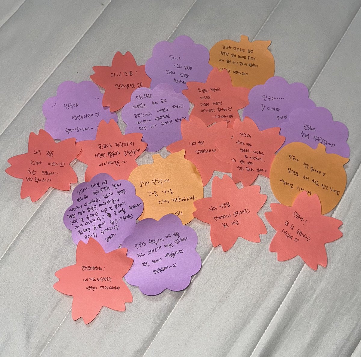 𝐅𝐋𝐎𝐑𝐈𝐀 tweet media