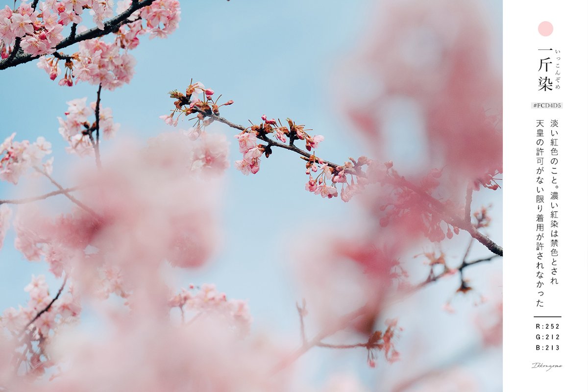 あえかなる星の住処 tweet media