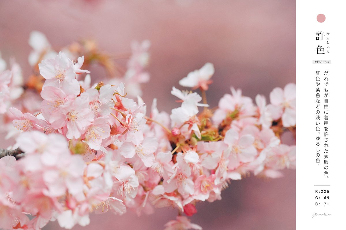 あえかなる星の住処 tweet media