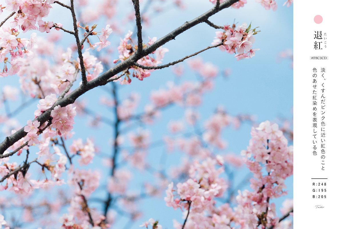 あえかなる星の住処 tweet media