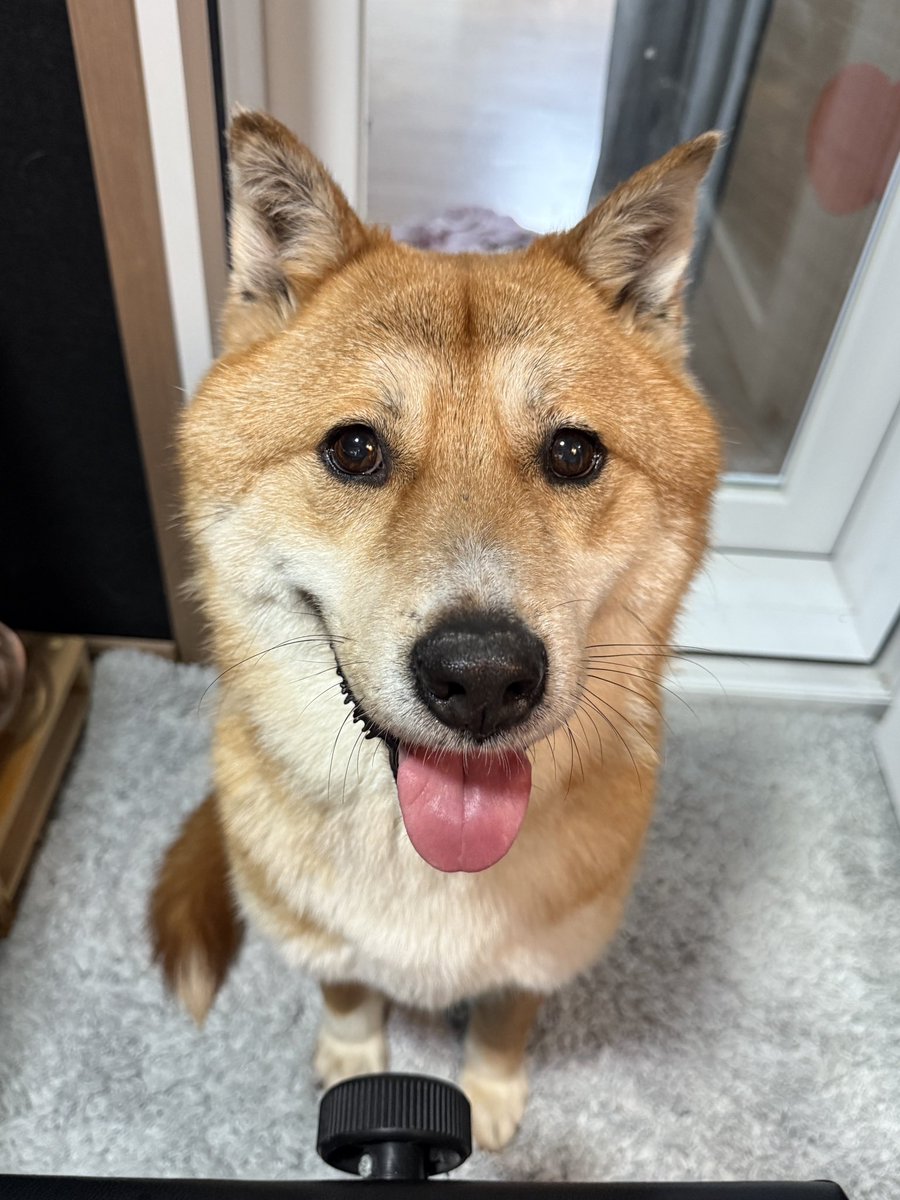 🐻순실 임보중🌿 tweet media