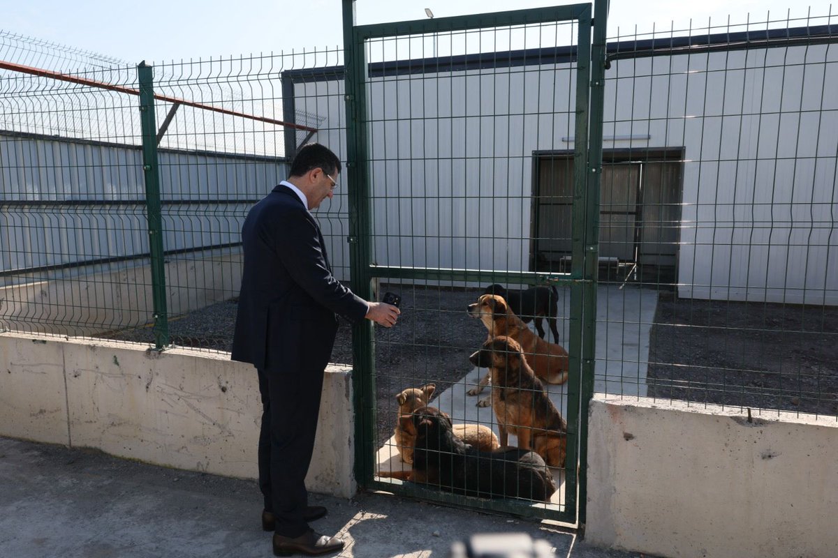 Ömerli’de 18 Nisan’da açılışını gerçekleştireceğimiz Doğal Yaşam Alanı projemizle ilgili, Kaymakamımız Sayın Resul Çelik’e bilgi verdik. Çalıışmalarını tamamladığımız alanda  incelemelerde bulunarak son hazırlıkları yerinde değerlendirdik.

Çekmeköy’ümüze nefes aldıracak,