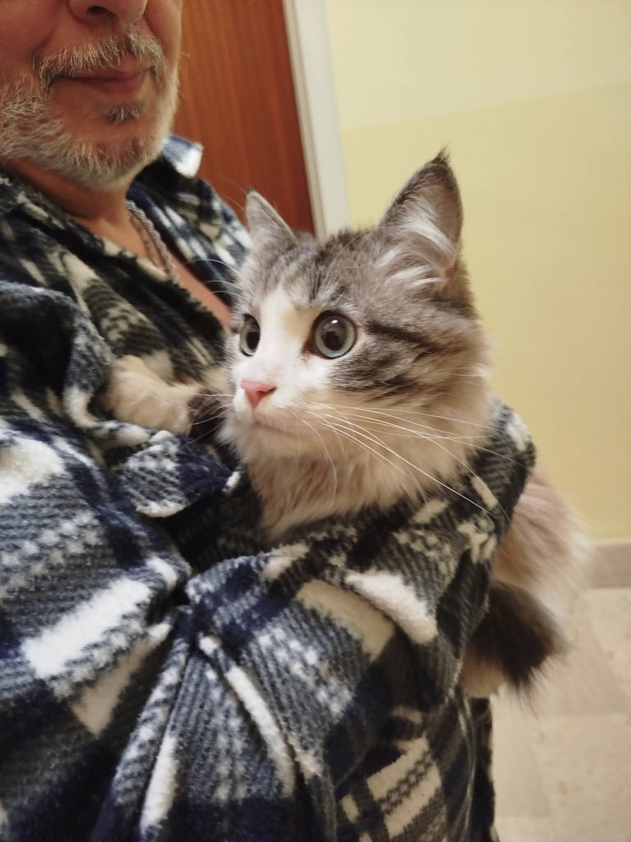 Serenella Raimondo tweet media