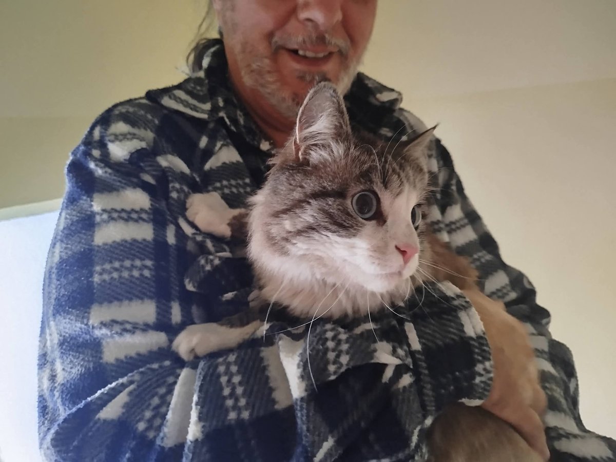 Serenella Raimondo tweet media